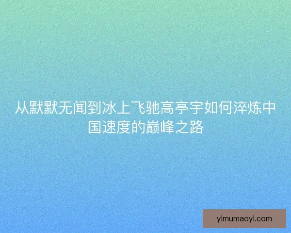 从默默无闻到冰上飞驰高亭宇如何淬炼中国速度的巅峰之路